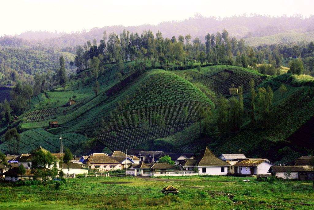 5 Cara Menikmati Libur Lebaran Ala Pengusaha Moka