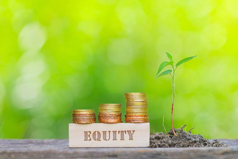 Apa Itu Equity/Ekuitas? Ini Unsur, Jenis, dan Cara Menghitungnya!