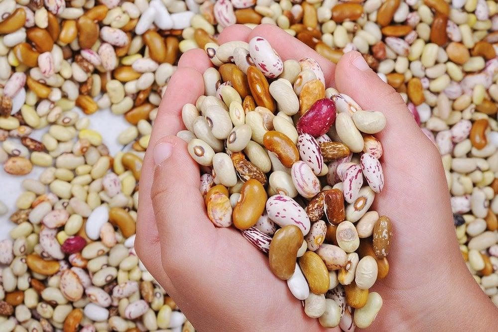 7 Tips Menggunakan Aplikasi Stok Barang Gratis untuk Bisnis Kuliner